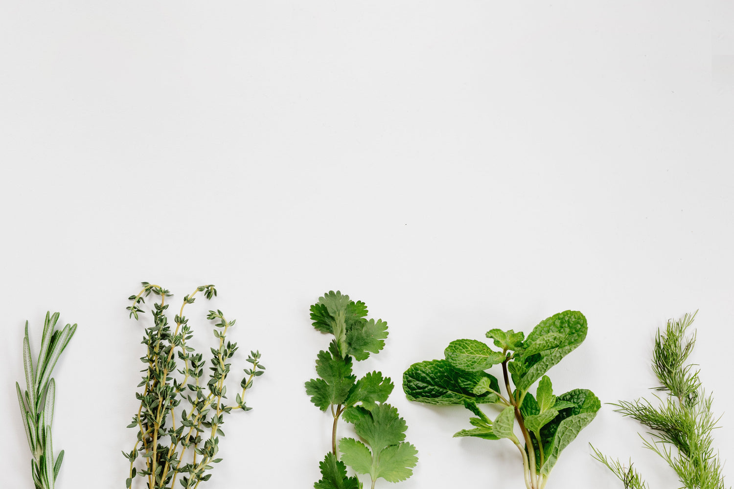 Hair Health Food