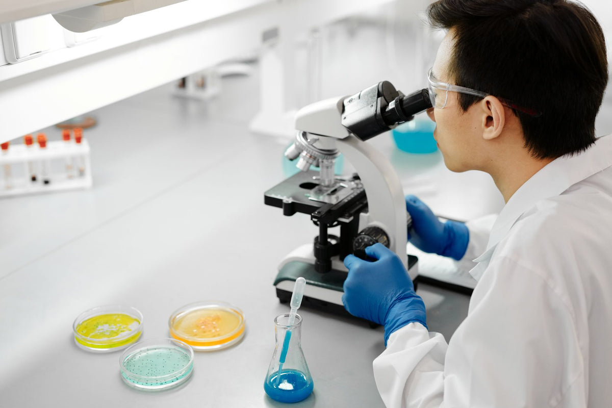 Scientist in laboratory examining samples with a microscope, surrounded by colorful petri dishes